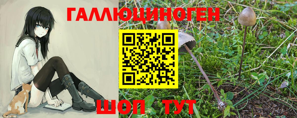 Галлюциногенные грибы Cubensis Солнечногорск