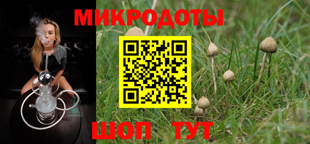 Псилоцибиновые грибы Psilocybine cubensis  Вход с VPN  Солнечногорск 