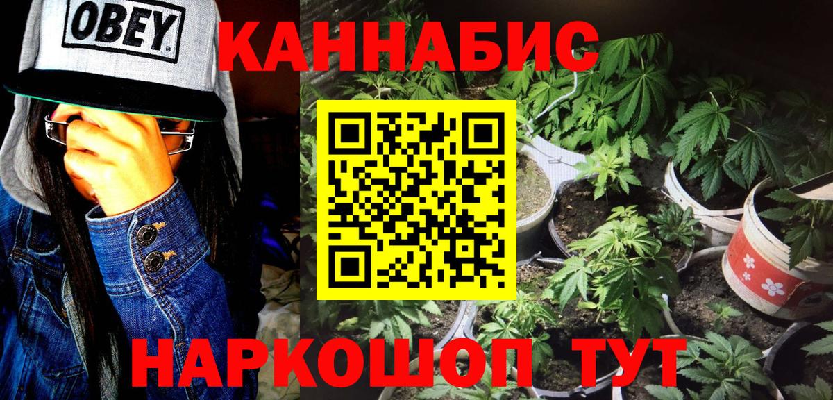 Шишки марихуана марихуана  МАРИХУАНА Bruce Banner  Солнечногорск  Бошки марихуана Bruce Banner  Канабис White Widow  Вход с VPN 